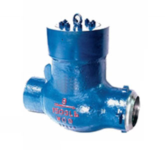 �����վֹ���y