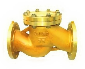 氧氣專用止回閥 氧氣專用止回閥