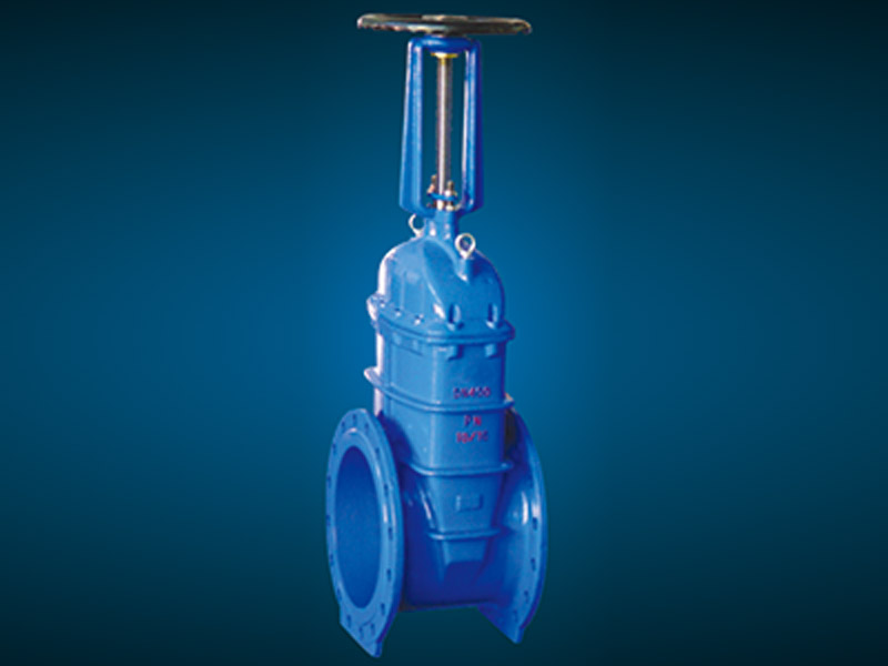 明桿不銹鋼軟密封閘閥